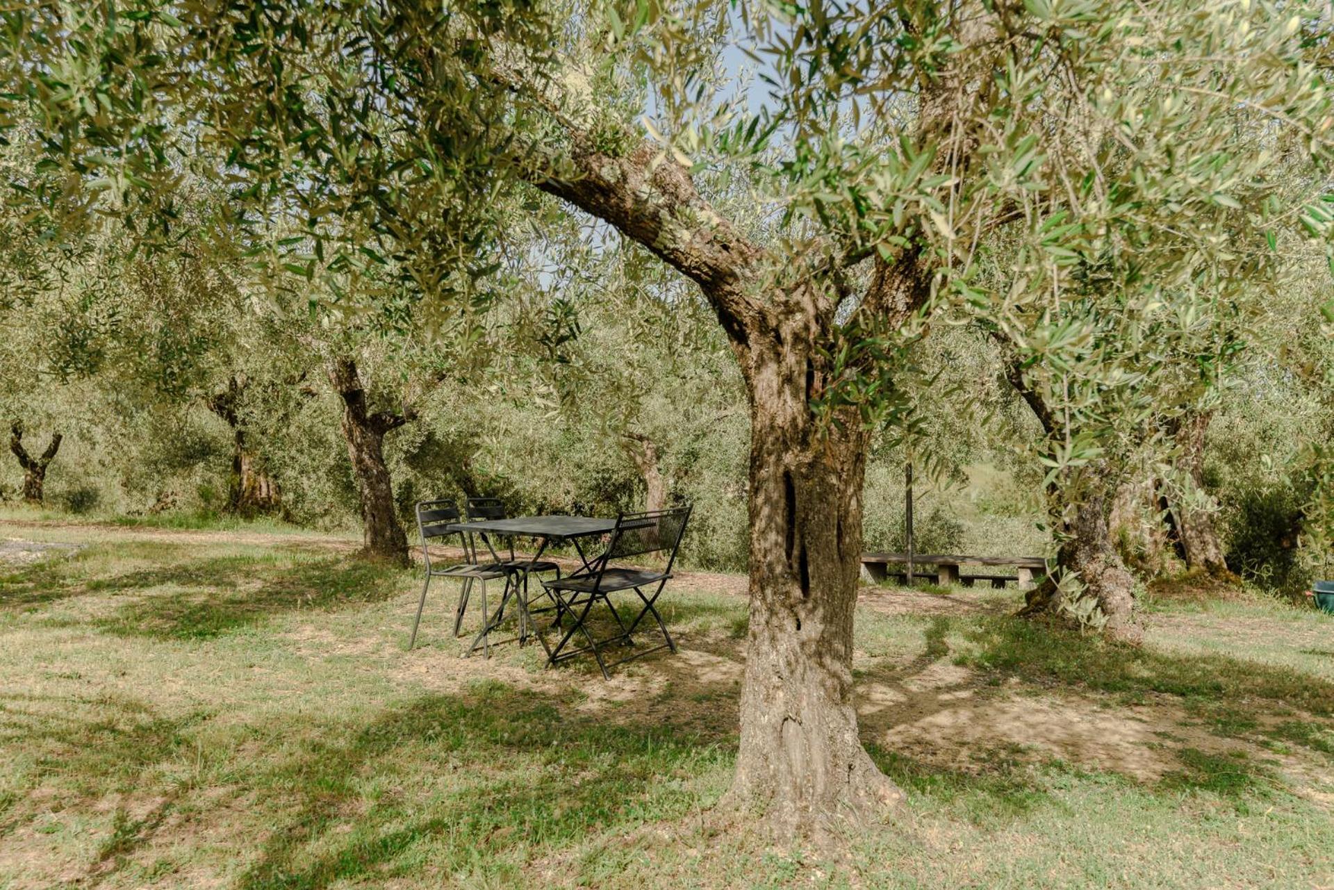 Agriturismo Il Mulino Delle Canutole Magione Luaran gambar